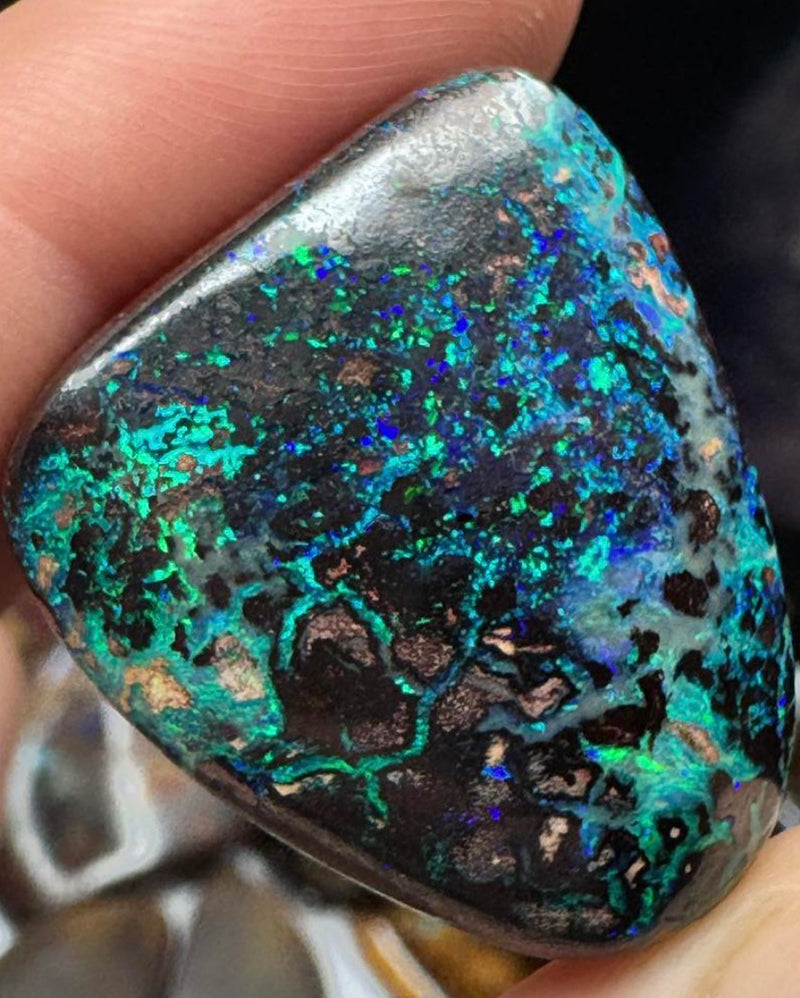 Opal Specimens