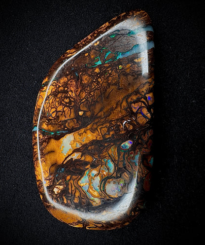 Ancient Wood Fossil Opal