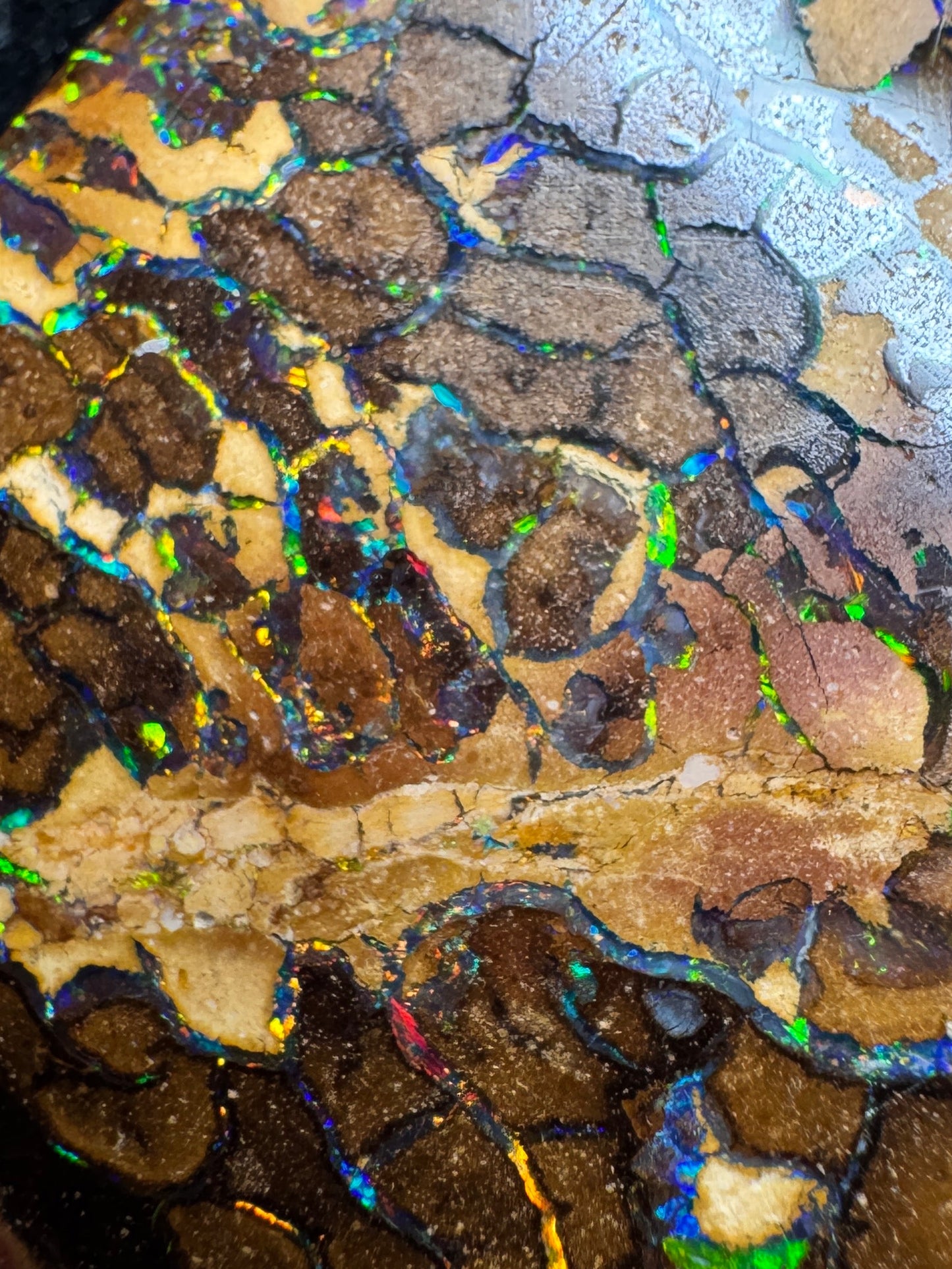 Yowah Desert Opal