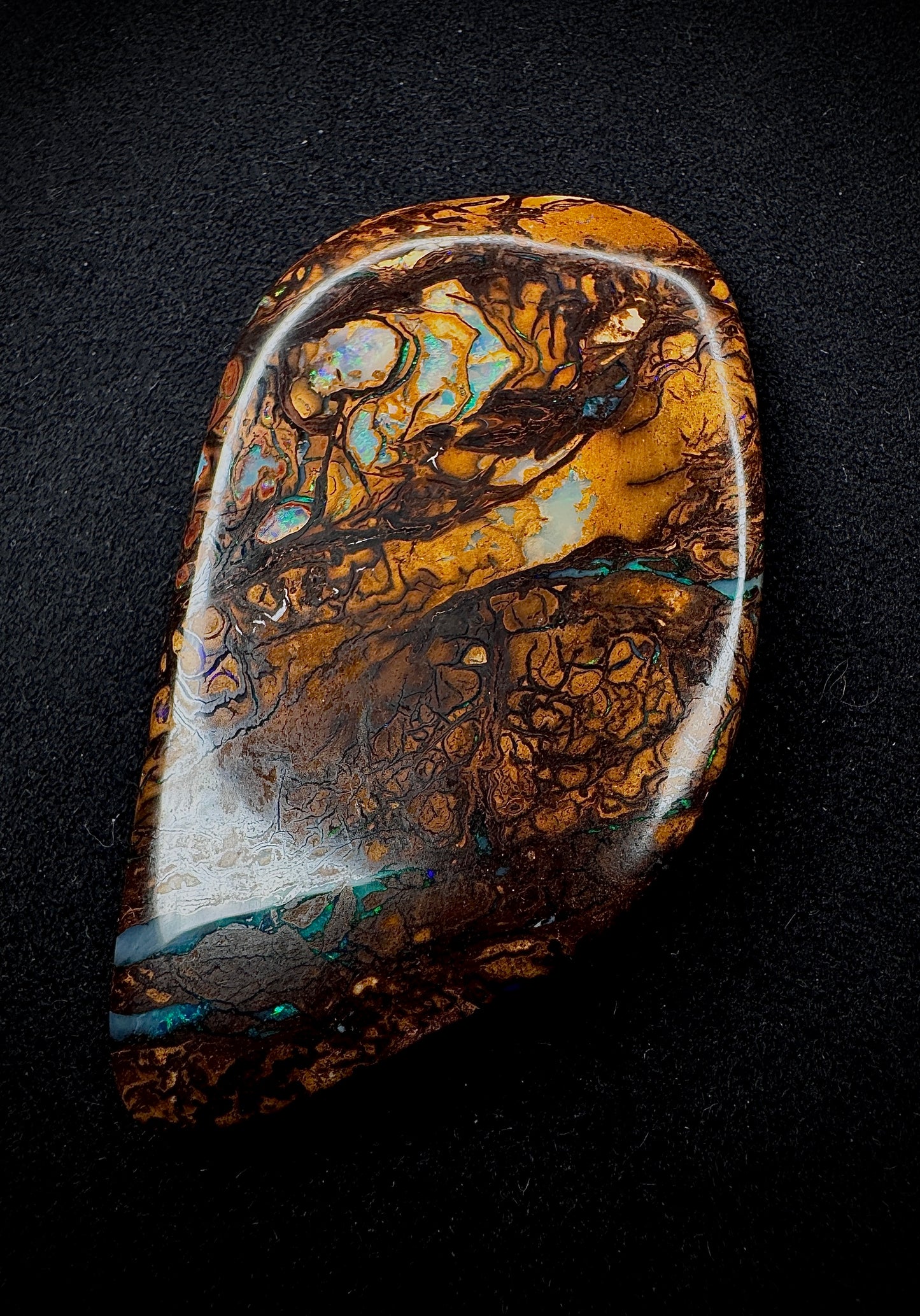 Ancient Wood Fossil Opal