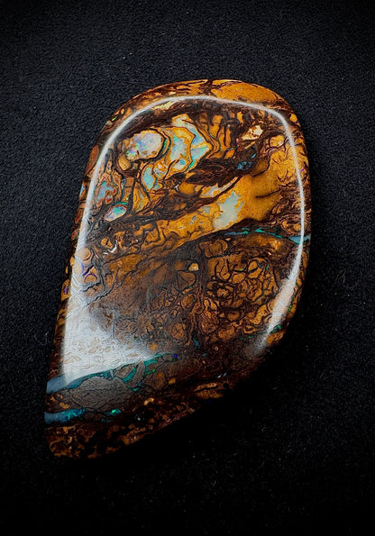Ancient Wood Fossil Opal