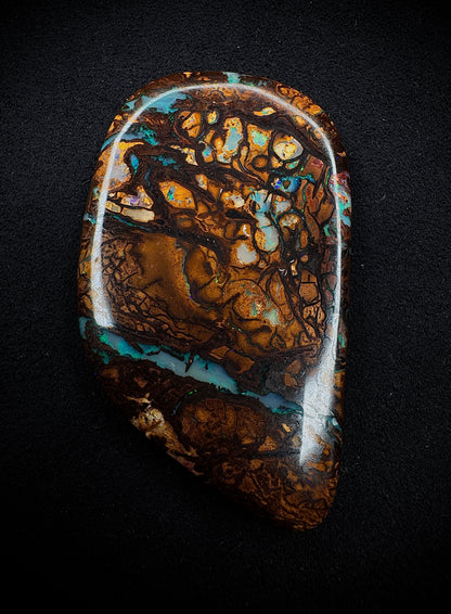 Ancient Wood Fossil Opal