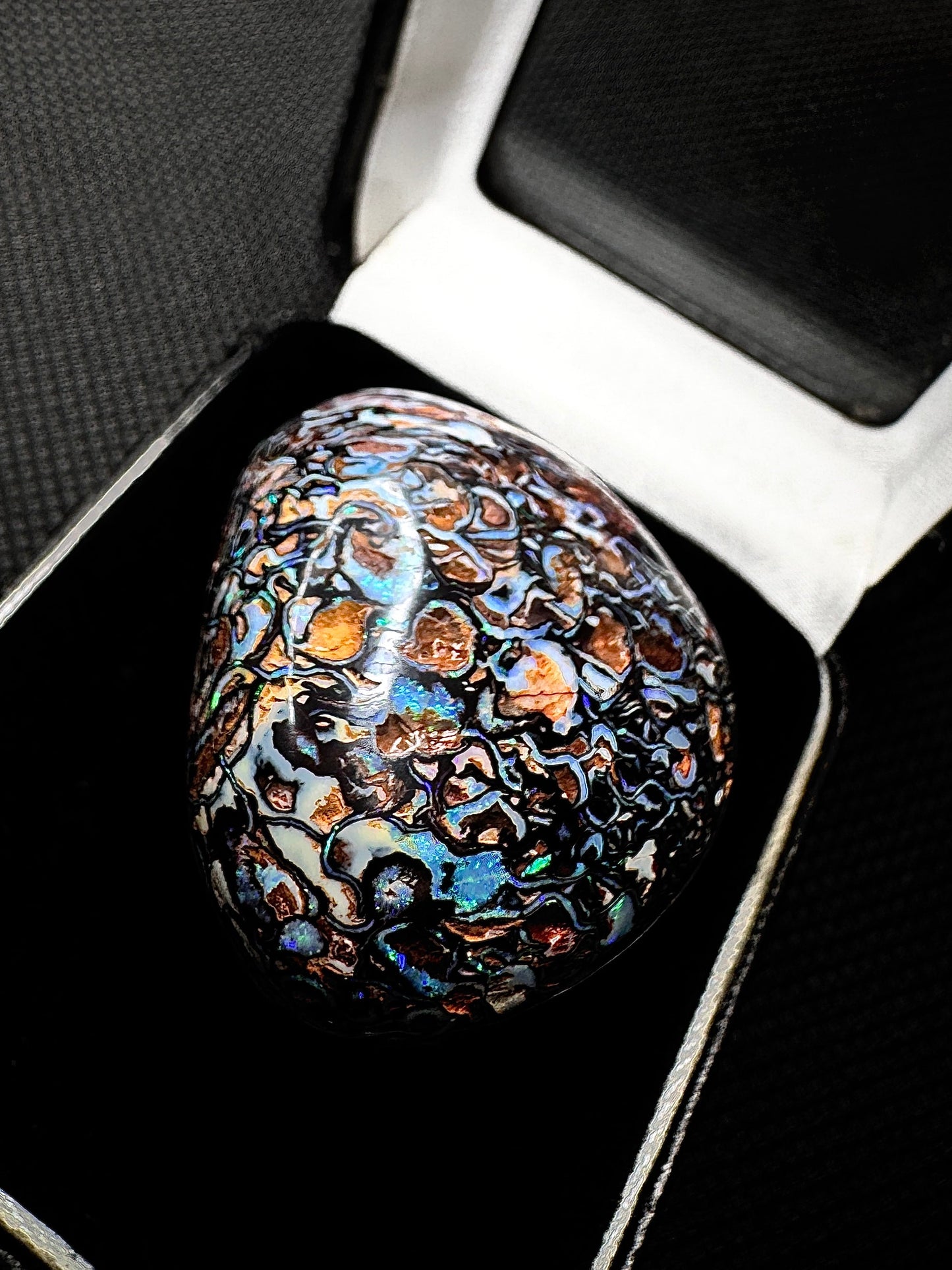 The Golden Goose Yowah Nut