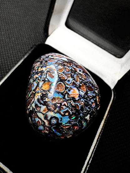 The Golden Goose Yowah Nut