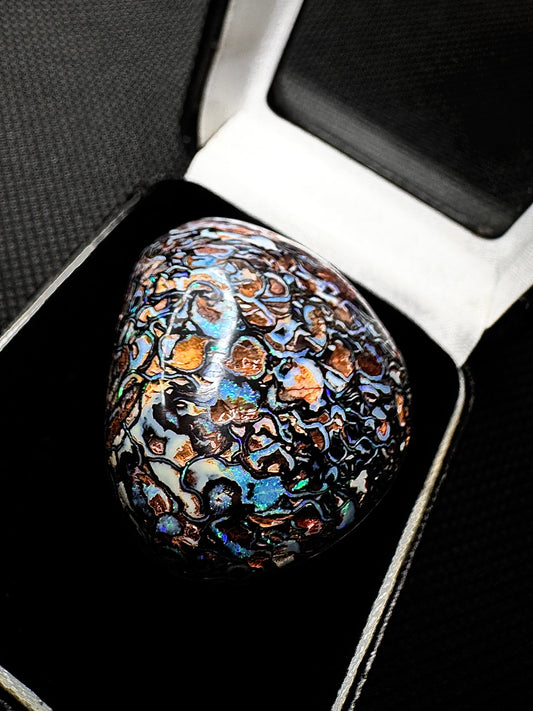 The Golden Goose Yowah Nut