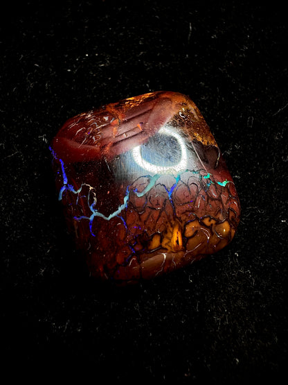 Yowah Koi Dragon