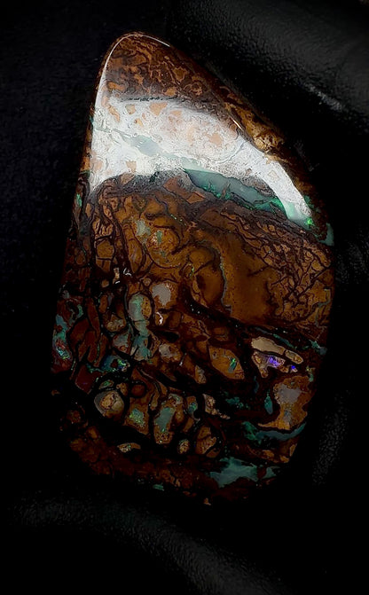 Ancient Wood Fossil Opal