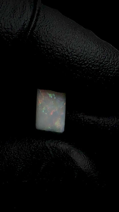 Coober Pedy Radiant Butterfly